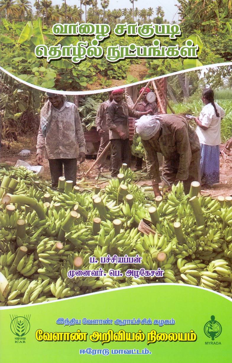Banana cultivation