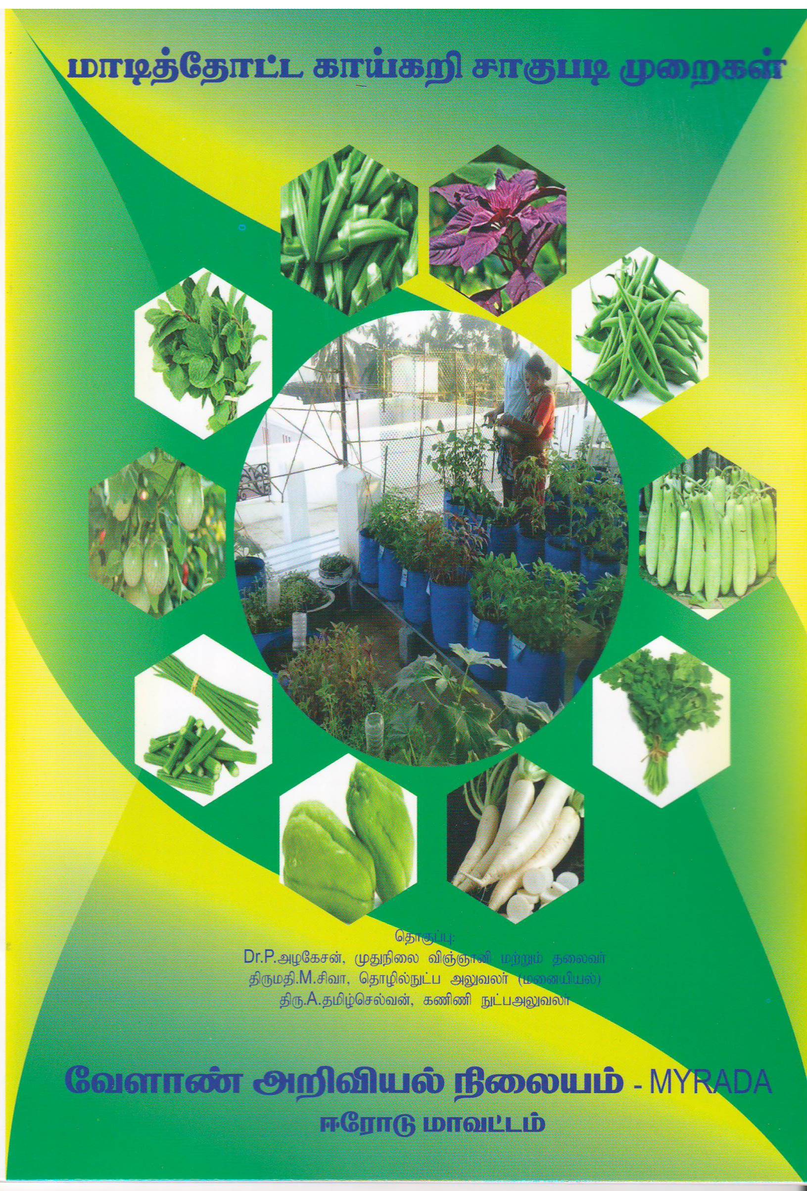 Rooftop garden