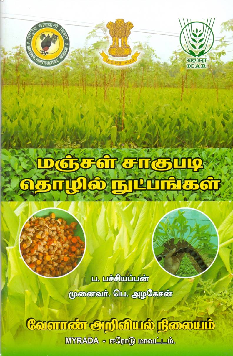 Turmeric cultivation
