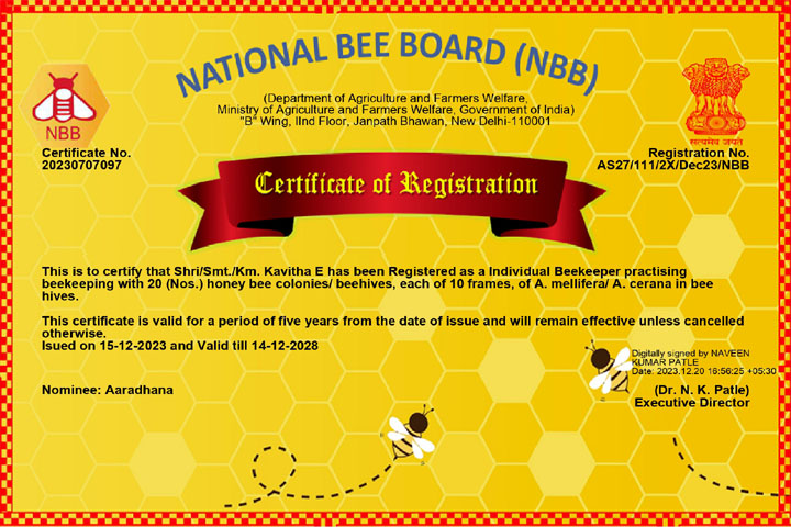 Kavitha NBB Member
